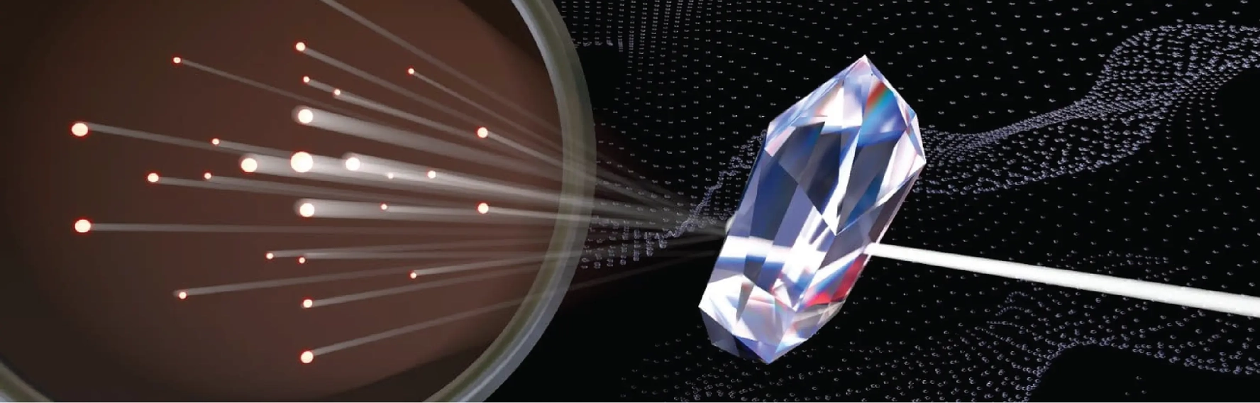 What we can do for you.png