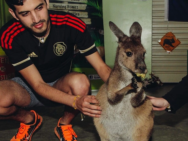 Sergio Cardiel - 960x576px.jpg