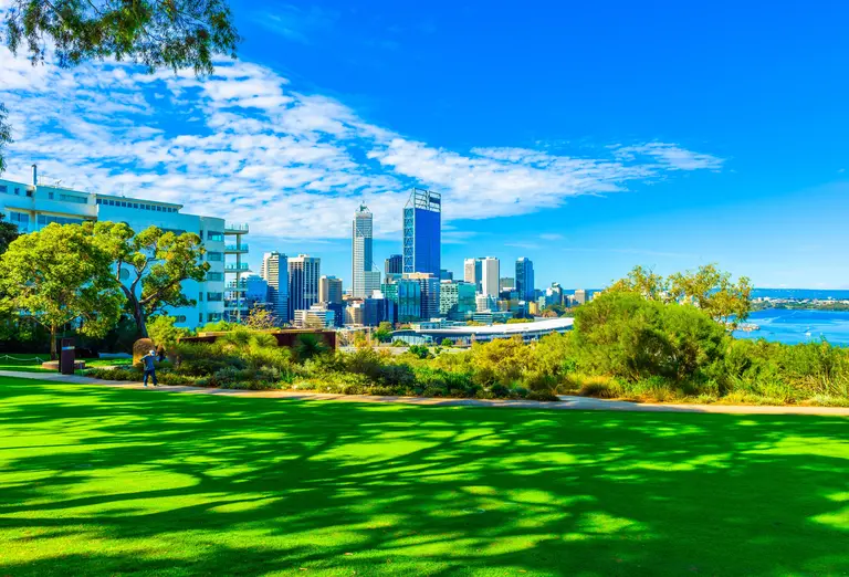 Perth city from kings park