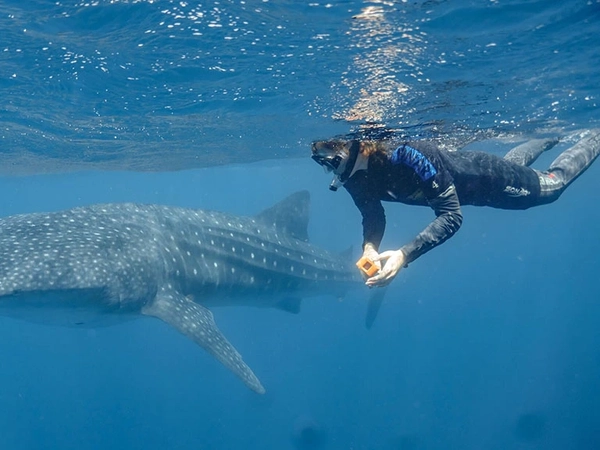 Ella Shilliday - 960x576px.jpg